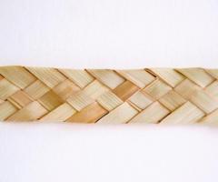 Palm leaf raw materials